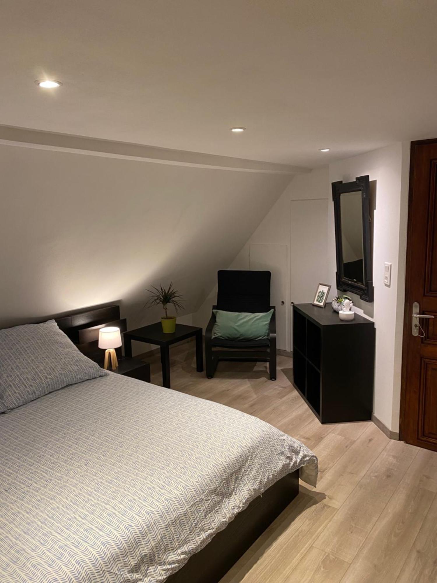 Apartamento Le 128, Duplex Alsacien 10 Personnes, Piscine Horbourg Exterior foto